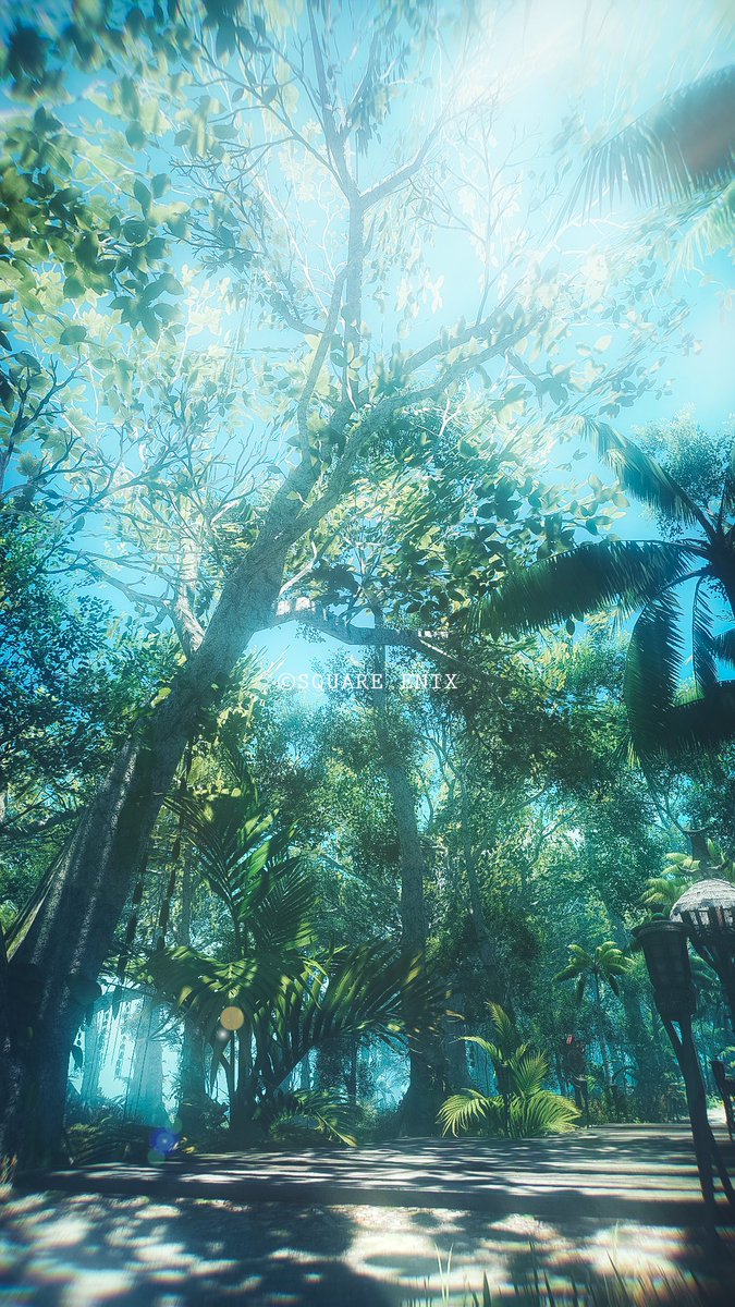 緑🌿

#FF14風景 ￤ #FF14SS