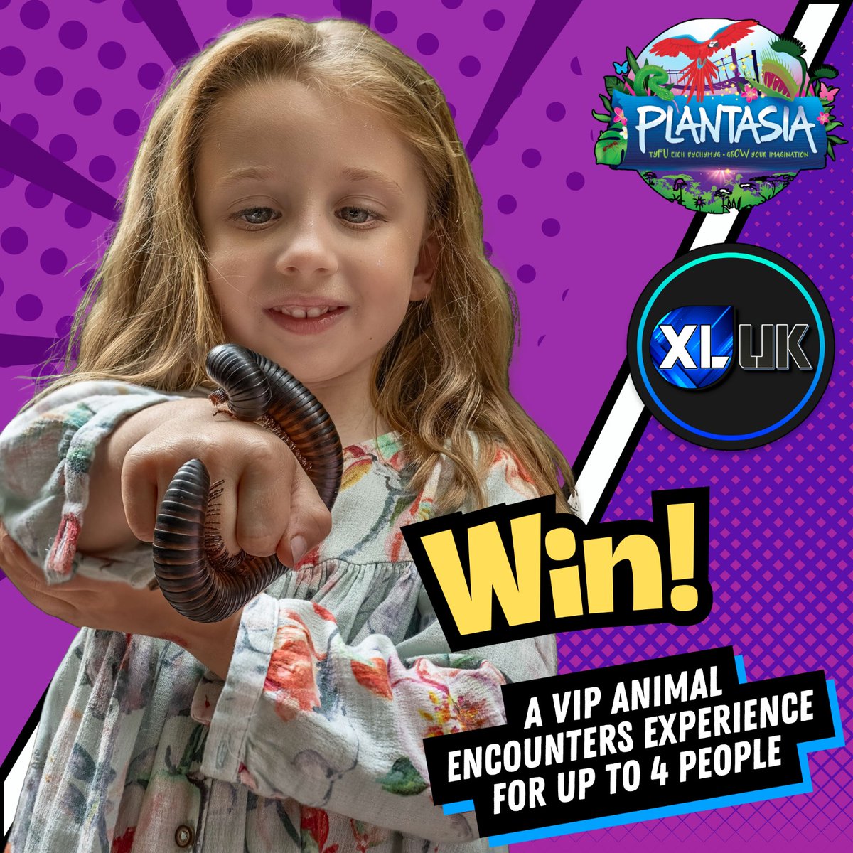 🌴 WIN a VIP Animal Encounter at Plantasia Tropical Zoo! 🦎🐢

XL:UK Radio has teamed up with Plantasia Swansea to give YOU the chance to step inside Swansea’s indoor rainforest for an unforgettable adventure!