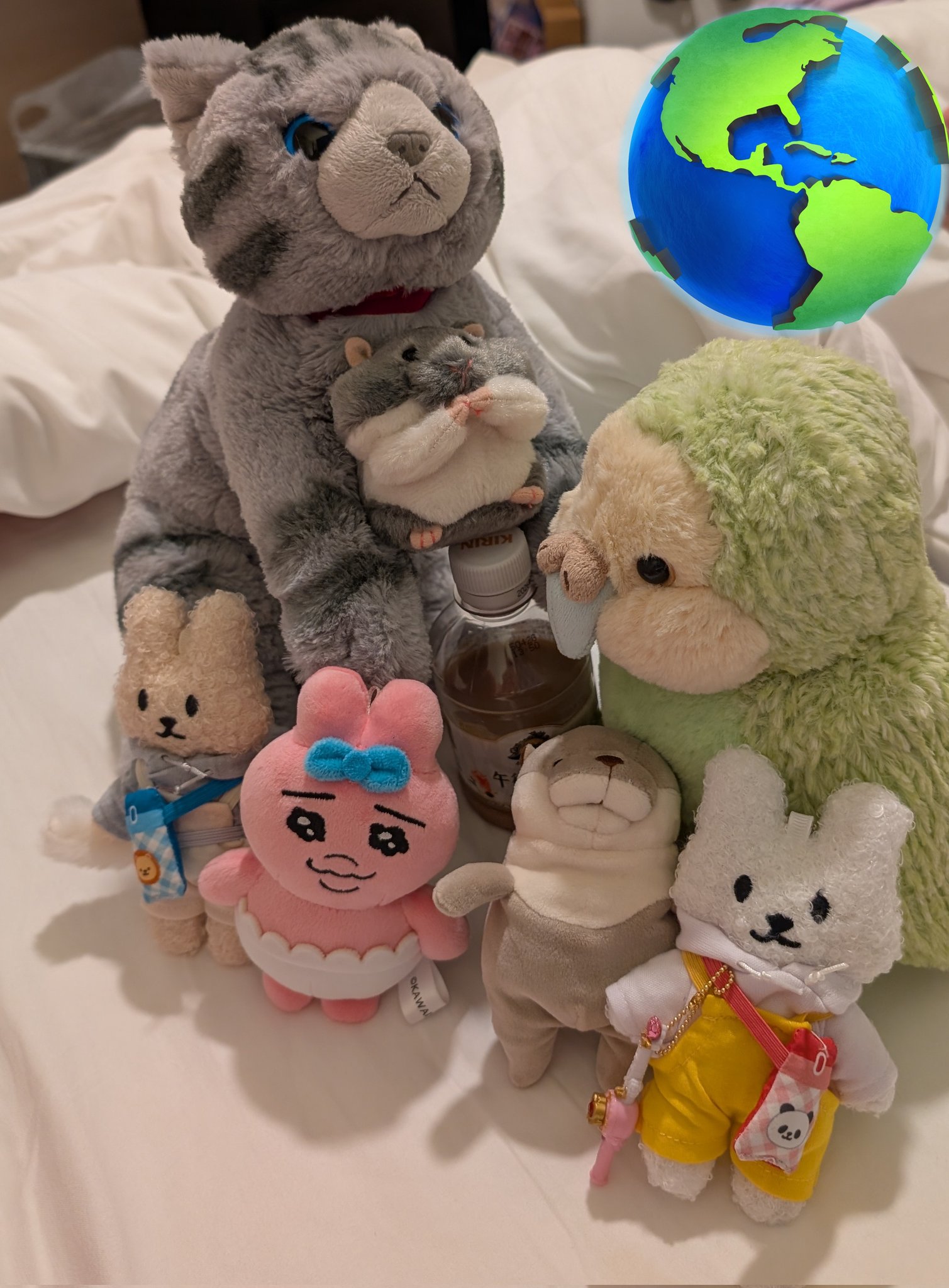 ぬい撮り、ぬいぐるみ旅行! 貴方の大切な可愛い相棒に♬