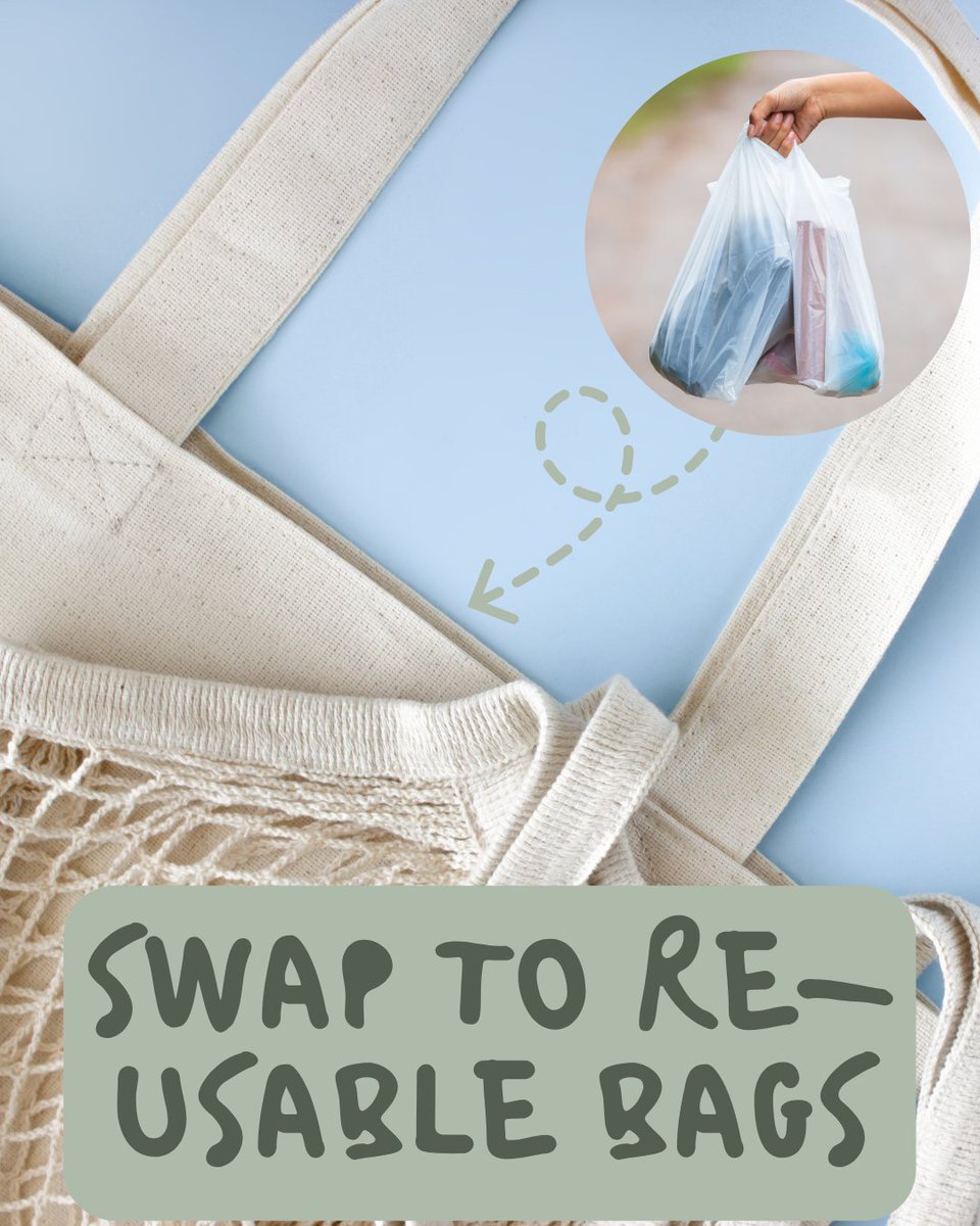 RecycleHants's tweet image. It’s #PlasticFreeJuly! 🌍
Here are 5 easy swaps to cut plastic:
1️⃣ Reusable water bottles
2️⃣ Loose fruit & veg
3️⃣ Reusable bags
4️⃣ Bar soap > body wash
5️⃣ Reusable containers
Got more tips? Put them below! ⬇️
#HampshireRecycles