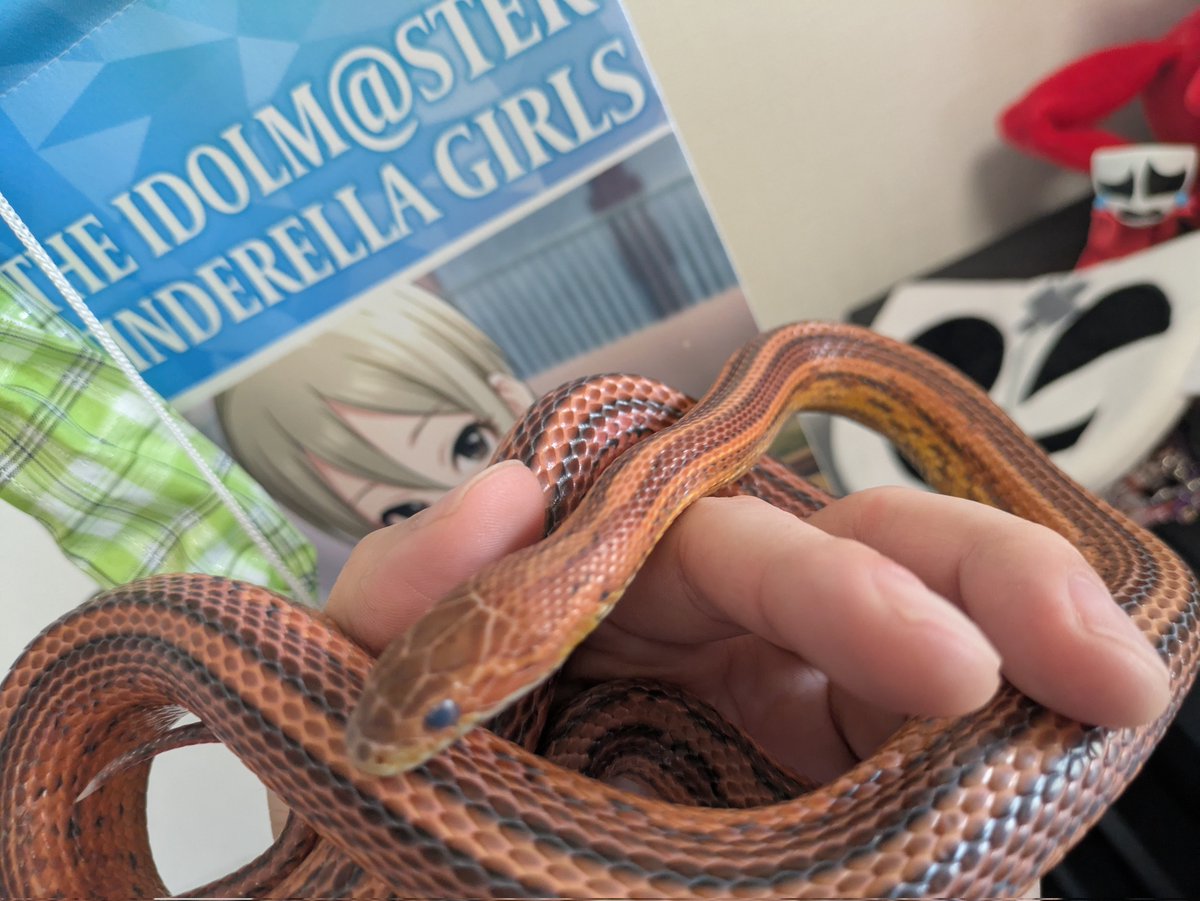 7月に入った。
ソリン・マルコフは今月末にてホスト稼業を引退致しますので、
最後に会いたい方は今のうちにソリン・マルコフとアポイントメントをとりましょう。