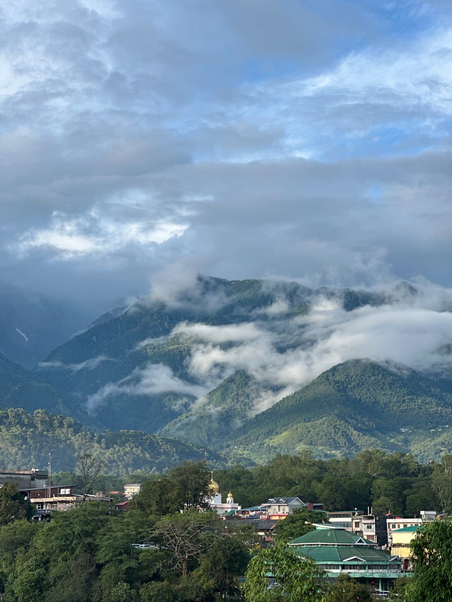 nazariyaa__'s tweet image. After a full day of rain, the mighty Dhauladhar and Palampur are looking incredibly fresh, green and peaceful.
But honestly, they always look that way . 🏔️☁️🌲