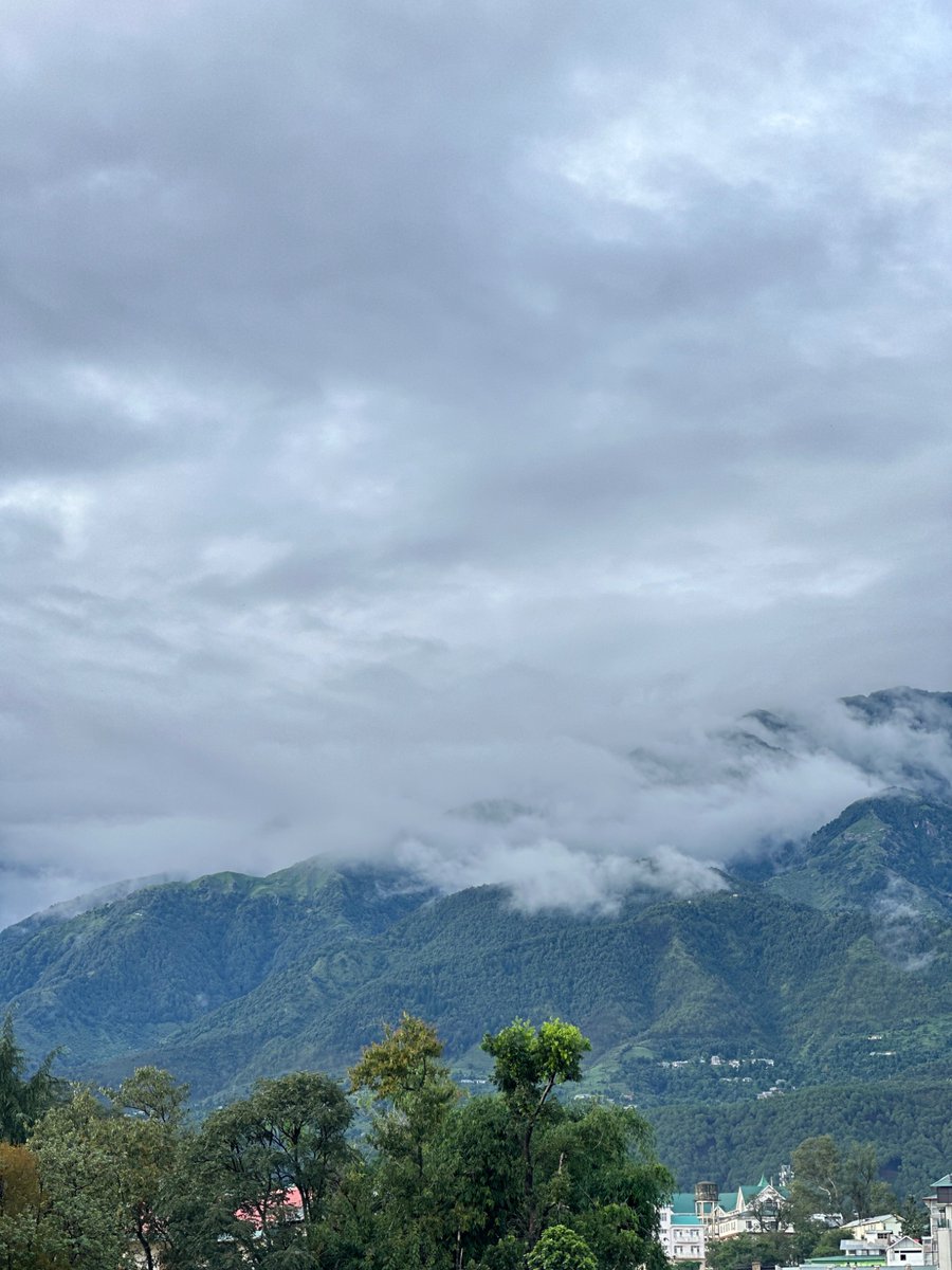 nazariyaa__'s tweet image. After a full day of rain, the mighty Dhauladhar and Palampur are looking incredibly fresh, green and peaceful.
But honestly, they always look that way . 🏔️☁️🌲