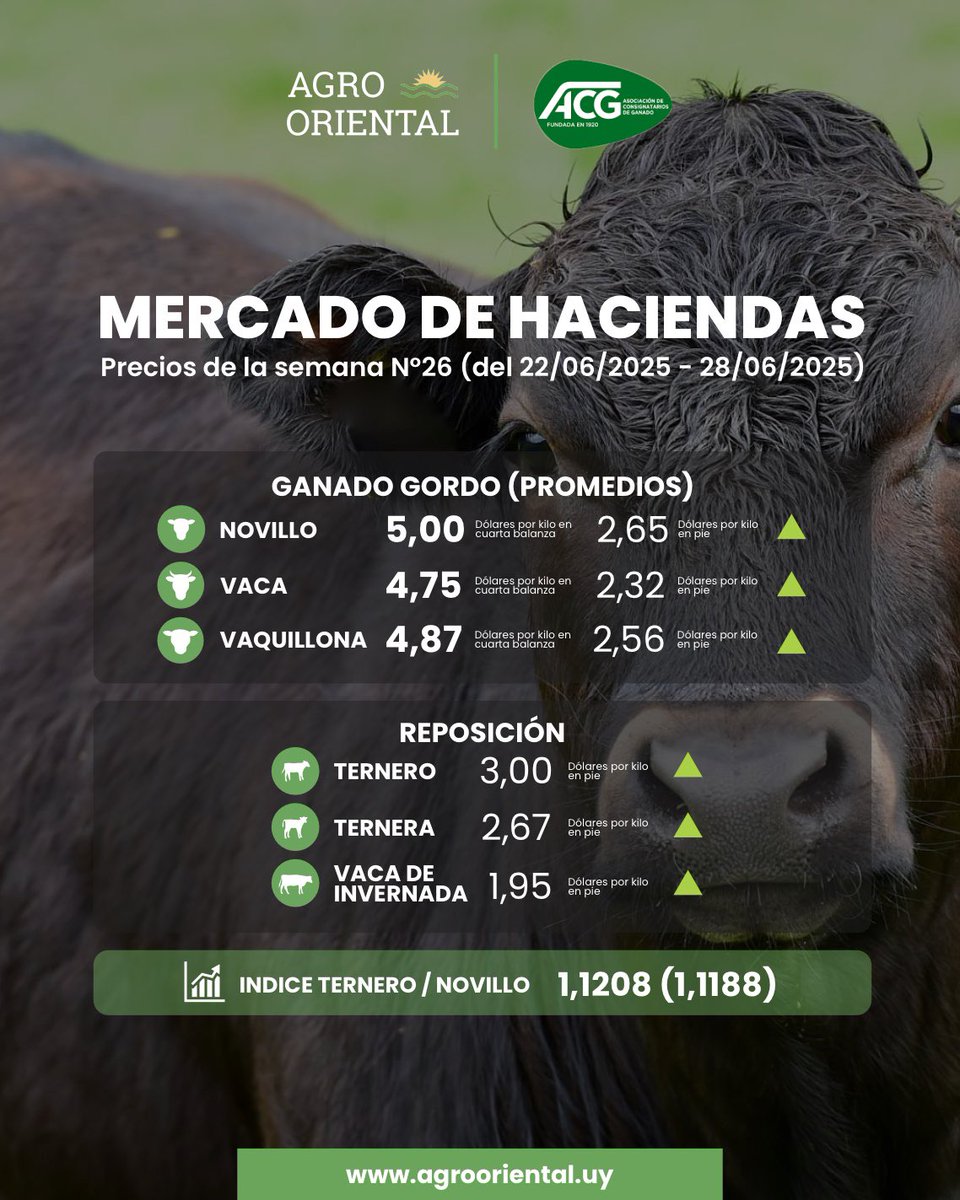 🐂 𝗠𝗘𝗥𝗖𝗔𝗗𝗢 𝗗𝗘 𝗛𝗔𝗖𝗜𝗘𝗡𝗗𝗔𝗦
Precios de la semana N°26 (del 22/06/2025 - 28/06/2025)

AgroOriental, una nueva forma de ver el campo.
📲 Por más info: agrooriental.uy