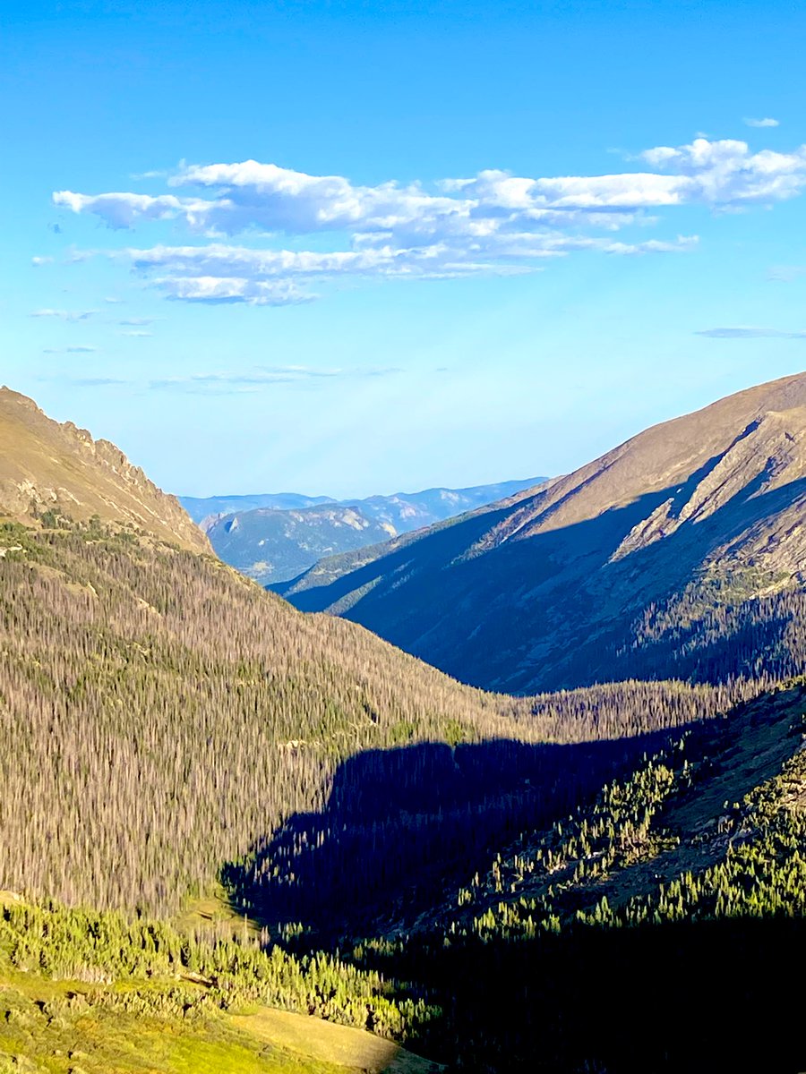 METTLE (@worldmadeone) on Twitter photo Good morning everyone ☀️
Have an amazing day and God bless you all 🙏🏻 ⛰️🇺🇸 Good morning everyone ☀️
Have an amazing day and God bless you all 🙏🏻 ⛰️🇺🇸