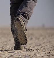 KAMAL SINGH tweet media