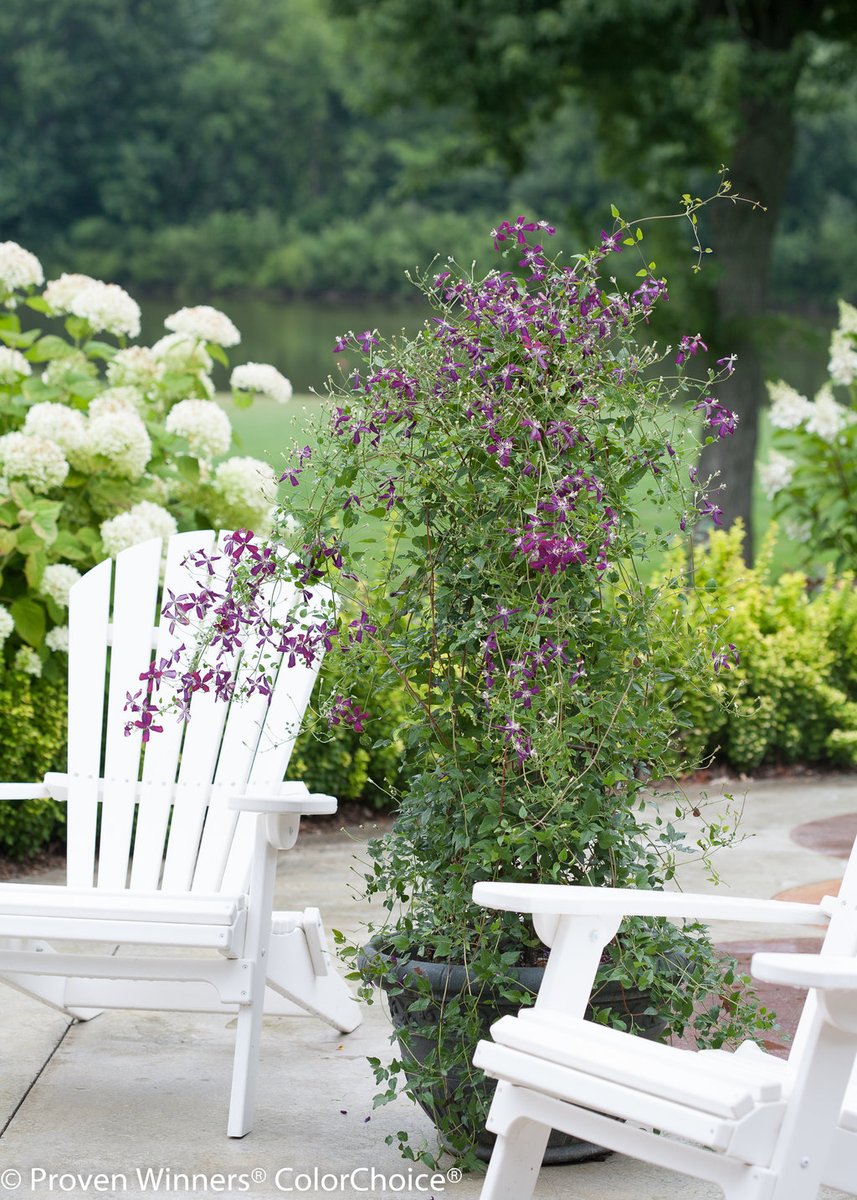 Hello, July!
As we head into the heart of summer, your garden is likely growing fast—and might be showing signs it needs a little extra care.

10 Tasks to Keep Your Garden Thriving in July from <a href="/Proven_Winners/">Proven Winners</a> ow.ly/ngVA50WiJVT