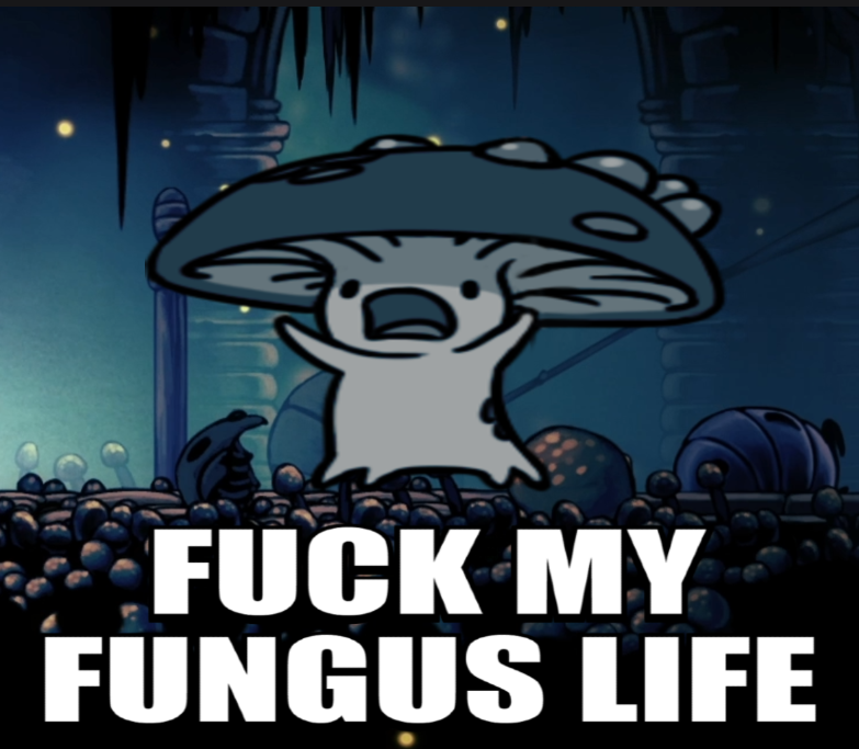 BlueGoesFast's tweet image. hollow_knight_reaction_image.jpeg