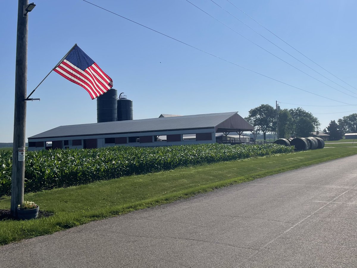 Where I’m from you can just drive around and see American flags all day.