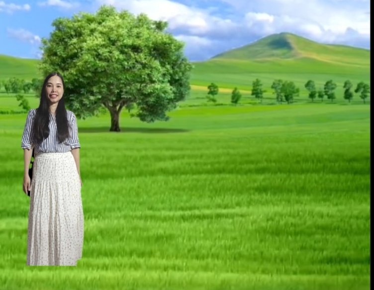 Hoàng Hạnh | Hannah tweet media