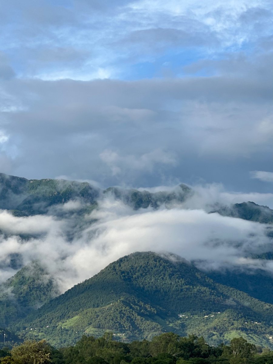 nazariyaa__'s tweet image. After a full day of rain, the mighty Dhauladhar and Palampur are looking incredibly fresh, green and peaceful.
But honestly, they always look that way . 🏔️☁️🌲