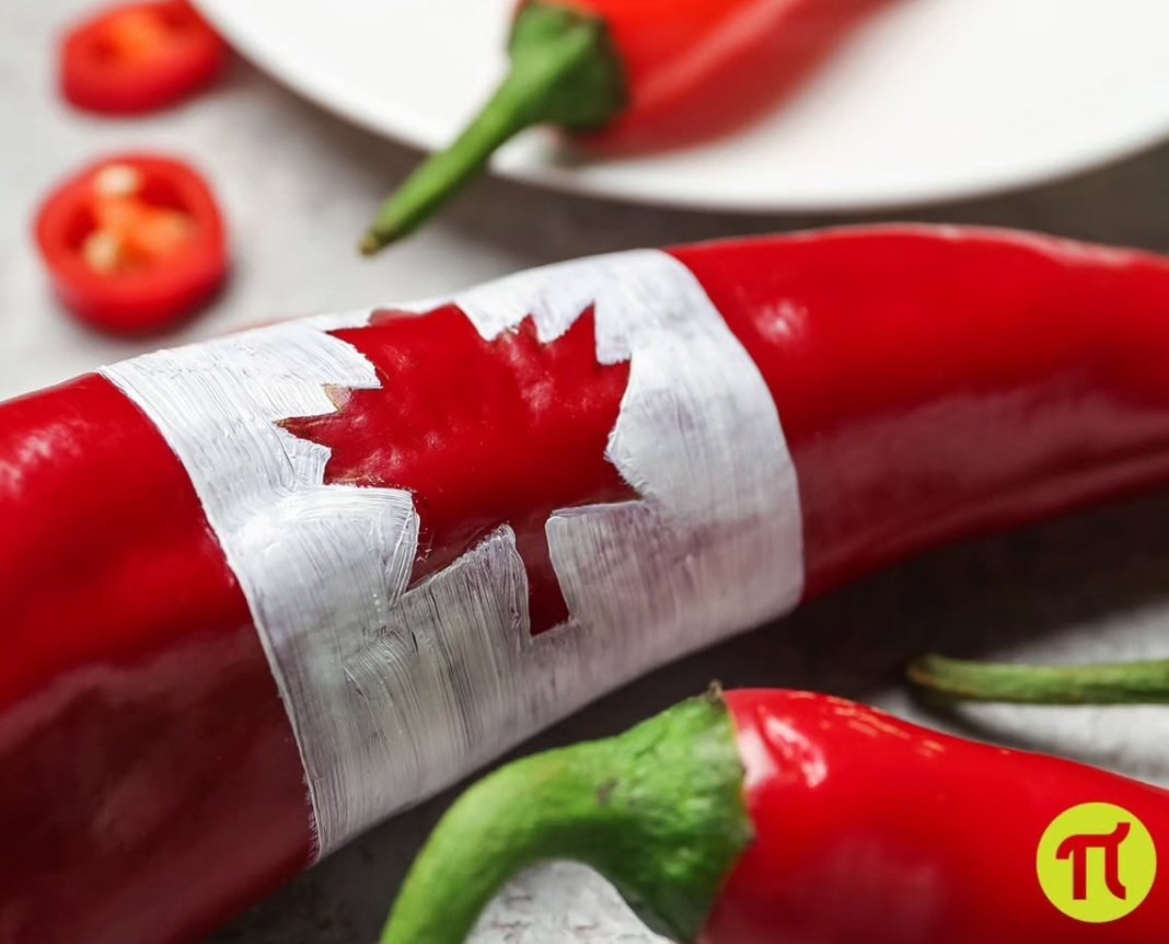 🍁 HAPPY CANADA DAY from all of us at PI·RHO Fresh Greek Grill! 🌶

Please note that all our locations are closed today, regular hours resume tomorrow. 

#OttawaFood #CalgaryFood 
#FreshGreekGrill 🇬🇷 | $HBFG