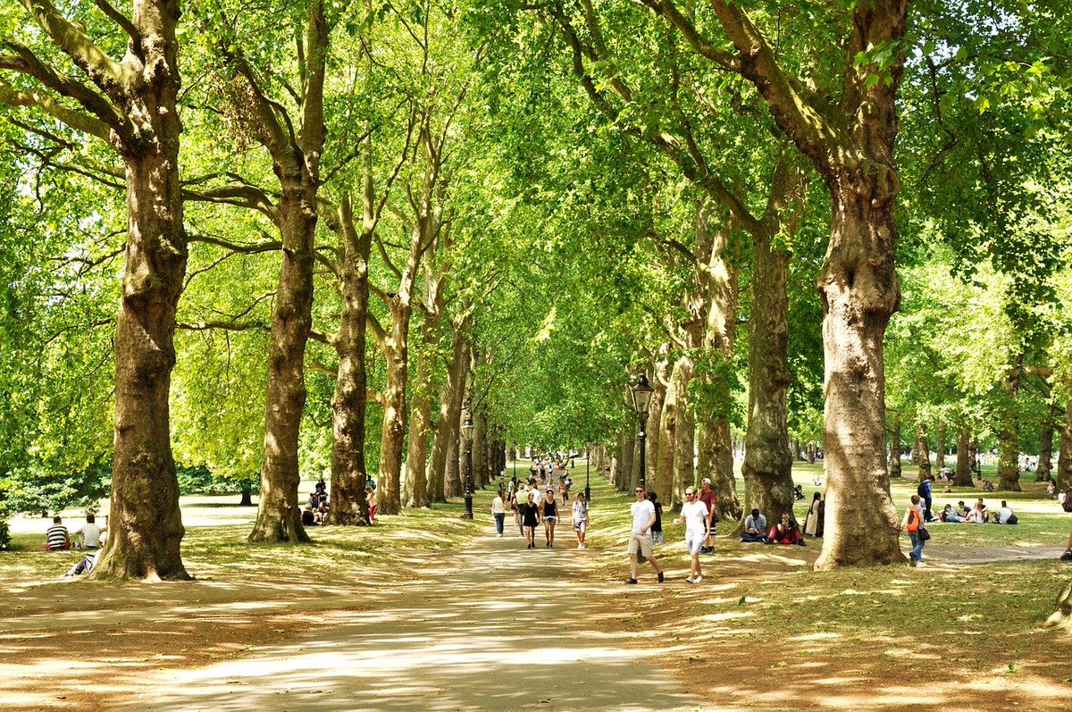 This week is Love Parks week - parks are a great place to spend some time in nature, and can boost your health and wellbeing.  Being in green spaces will help you feel calm and centred, so head to your local park.
#loveparksweek #greenspace #mpftnhs