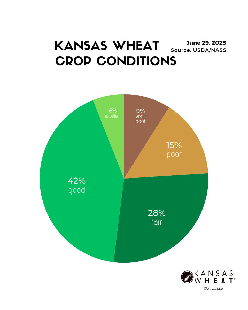 For the week ending June 29, 2025, winter wheat condition rated 9% very poor, 15% poor, 28% fair, 42% good, and 6% excellent, according to USDA NASS.
