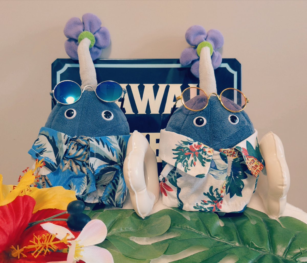 岩もアロハになったよ〜🌺🌊