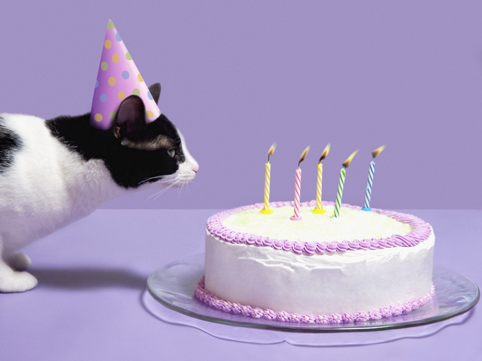 DanRatkewitch's tweet photo. 🎉🥳 A big happy birthday to all our friends with July birthdays! From everyone at our agency we hope this is your best year yet! https://t.co/gNM9Ubfv2g