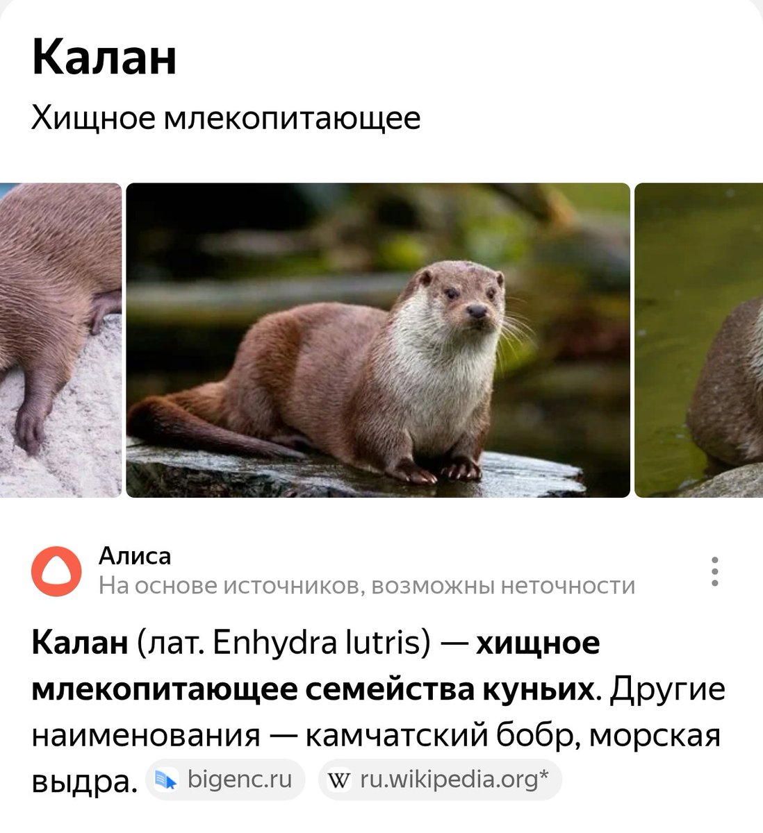 В'ячеслав Novichkov (@albertchnov) on Twitter photo 