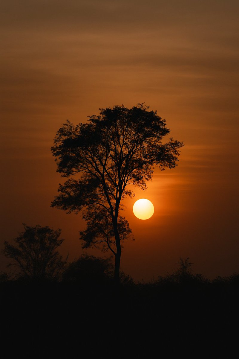 الخذلان لا يوجعك حين يأتي من غريب…
بل حين يصدر من صوتٍ كنتَ تُطفئ به حُزنك.
أكثر من كسرنا، كانوا نحن… في مرآةٍ بشريّة.

#موسى_الشعبي
