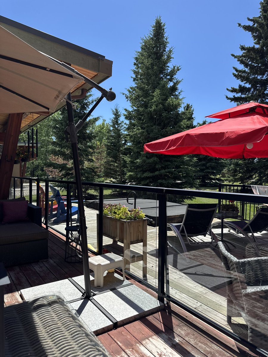 Jann “stop live horse export” Arden (@jannarden) on Twitter photo 