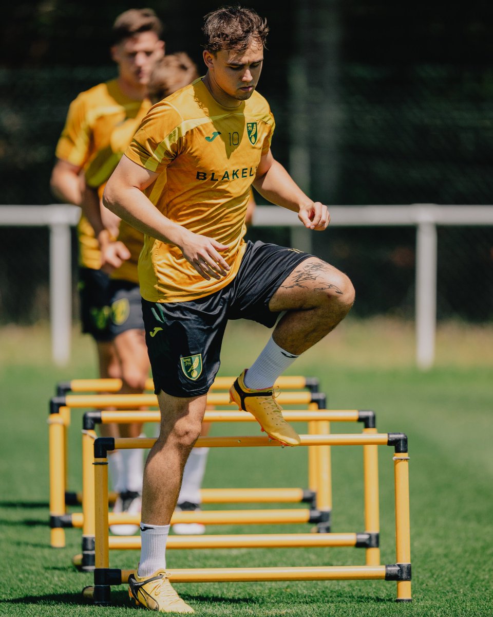 Norwich City FC tweet media