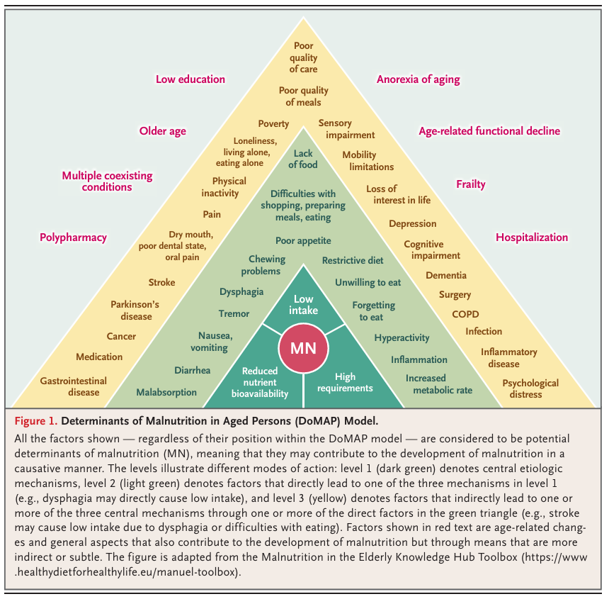 Malnutrition in Older Adults (2025)

nejm.org/doi/full/10.10…