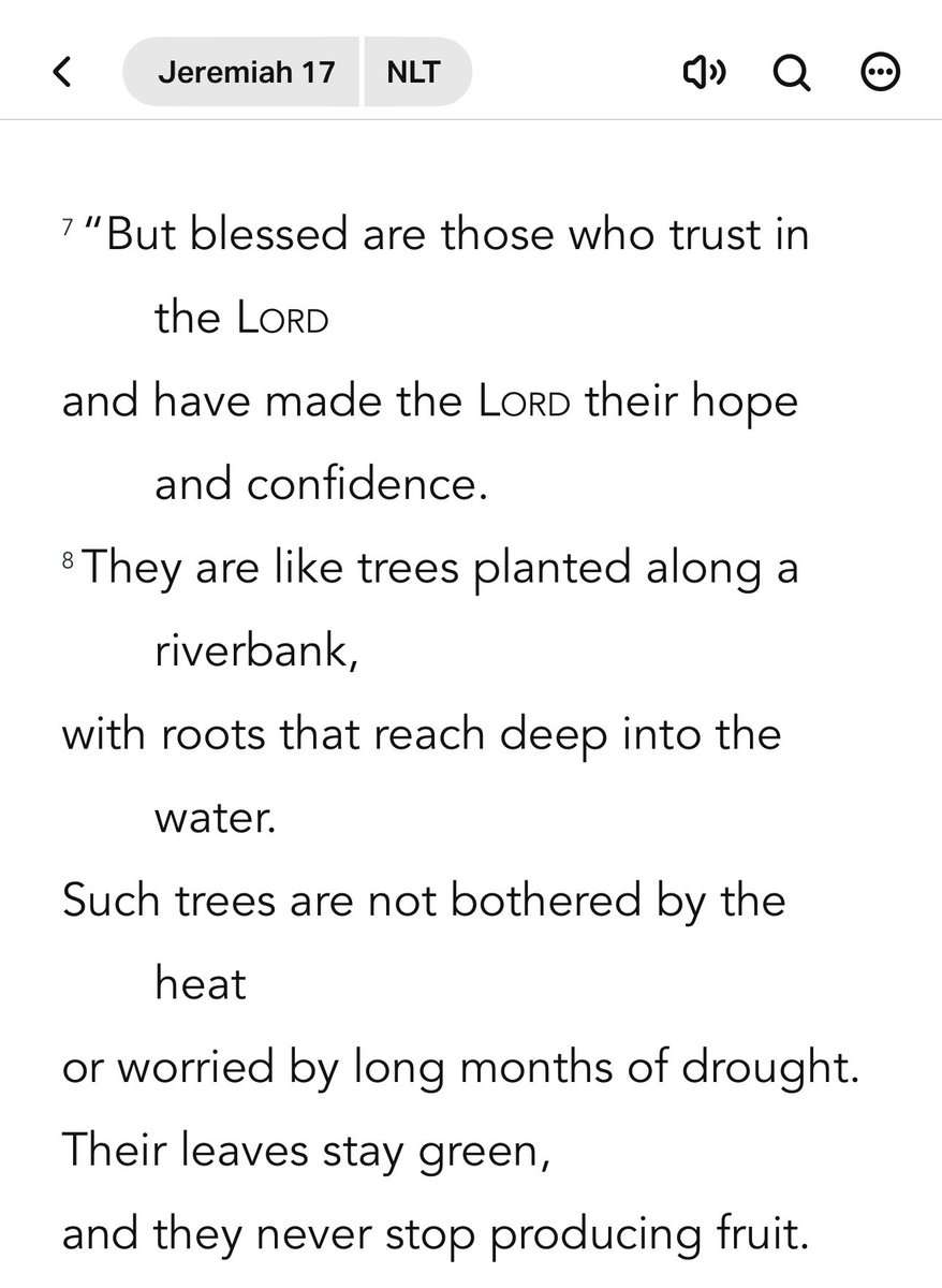 Contentment comes from trust. Knowing that in all seasons God is here, having His way, and working out His plans for us.