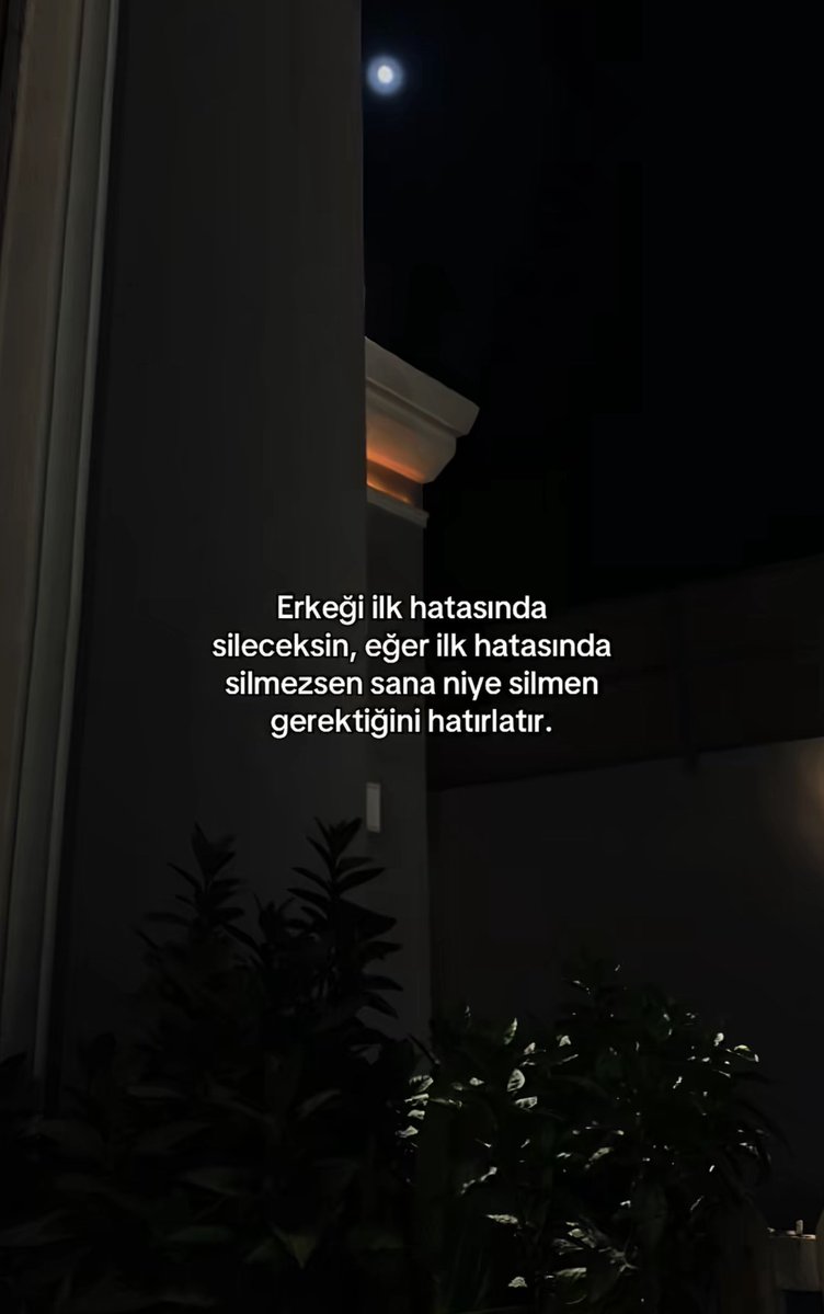 Tülin (@birazgerildik) on Twitter photo 