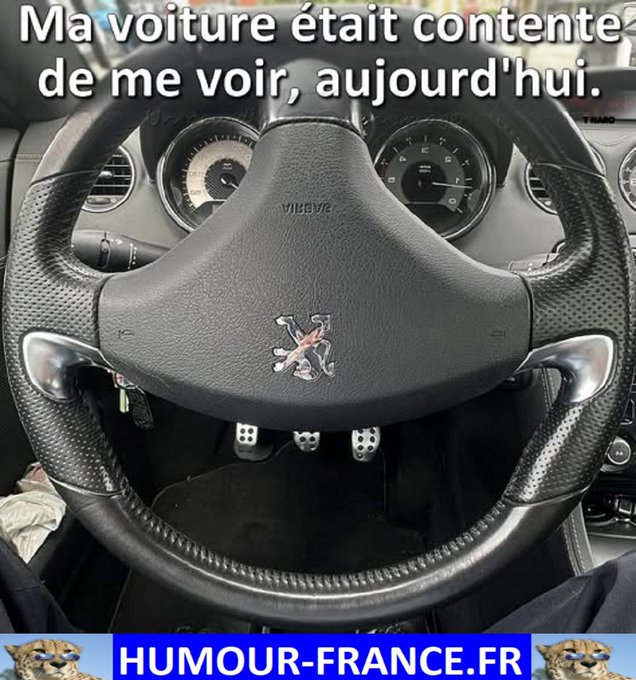 text alternatif