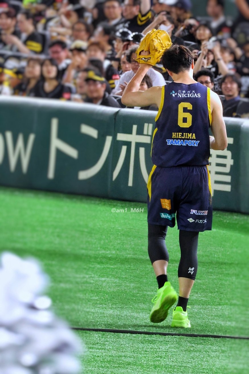 💛🐨 𝙖 𝙢 𝙞 🐨💛 on X: 