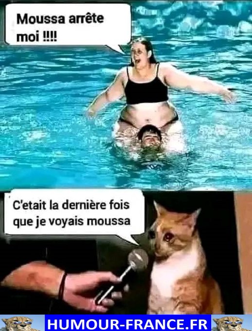 text alternatif