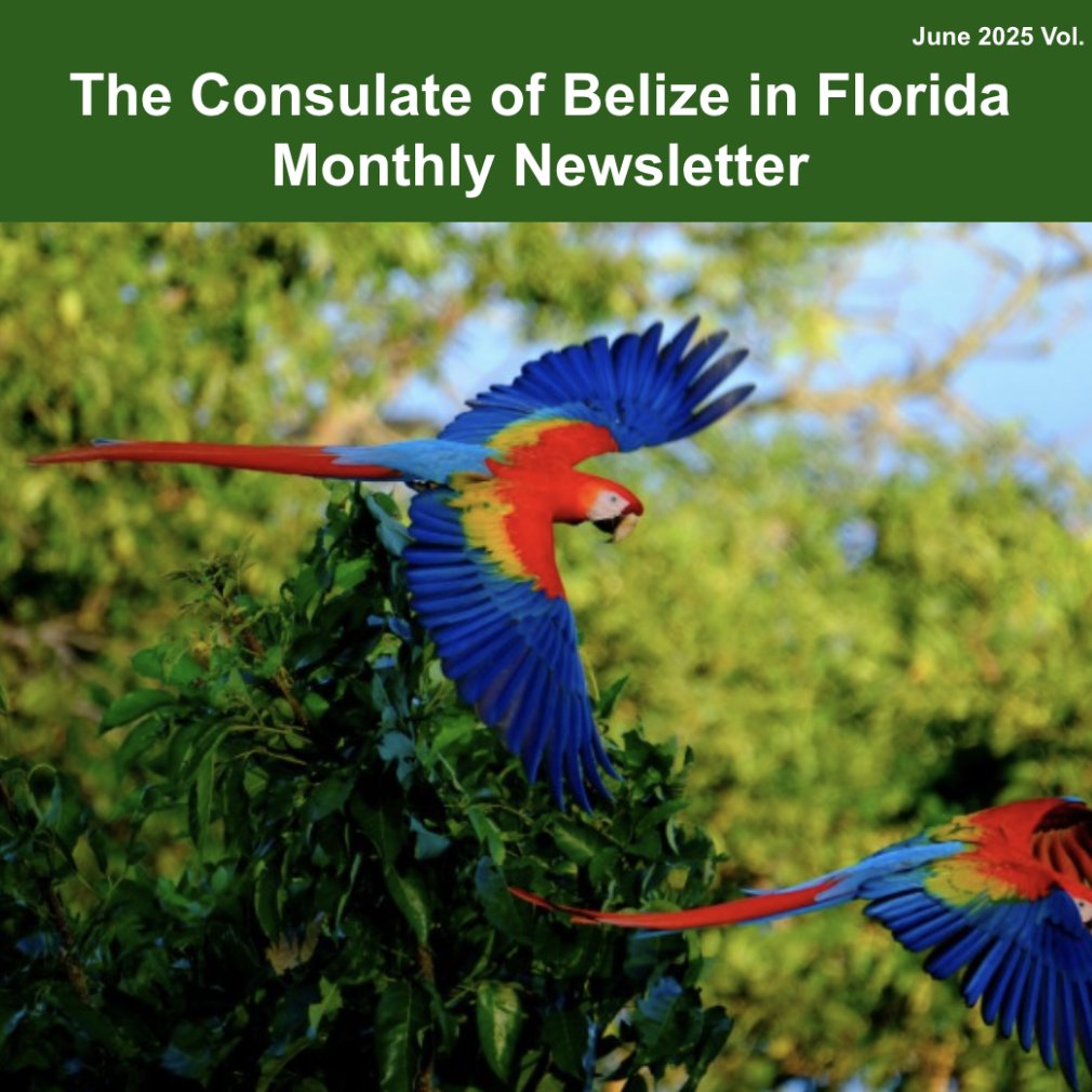 BelizeConsulate's tweet photo. 📬 Dear Belizeans &amp; friends,

Our June Newsletter is here! 🇧🇿

Catch the latest news &amp; milestones from Belize 📰👇
🔗 https://t.co/xKHMHoYbyE

#Belize #Newsletter #June2025 #MonthlyUpdate #BelizeIsBeautiful #StayInformed #Explore https://t.co/8iYkqfWMWr