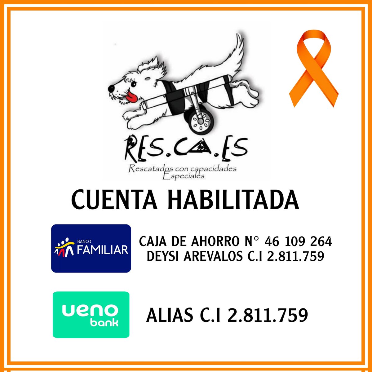 Tíos necesitamos de tu ayuda, estamos sin comida 😭 solo tenemos para hoy,22 perritos y 35 gatos,12 con carritos y tmb tenemos 4 bbs de 20 días,x favor cualquier monto suma! Es muy difícil seguir sin ayuda 😞