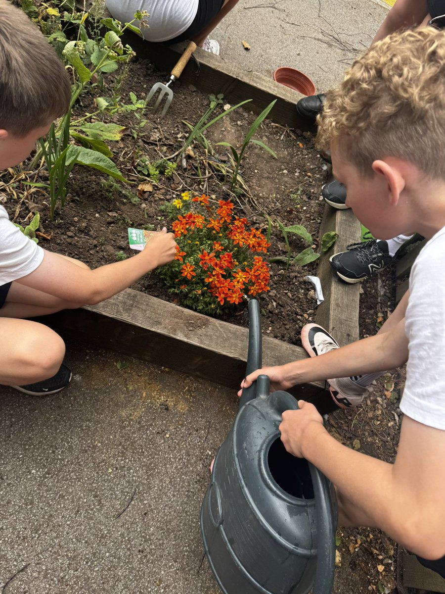 Norbridge - Community In Action tweet media