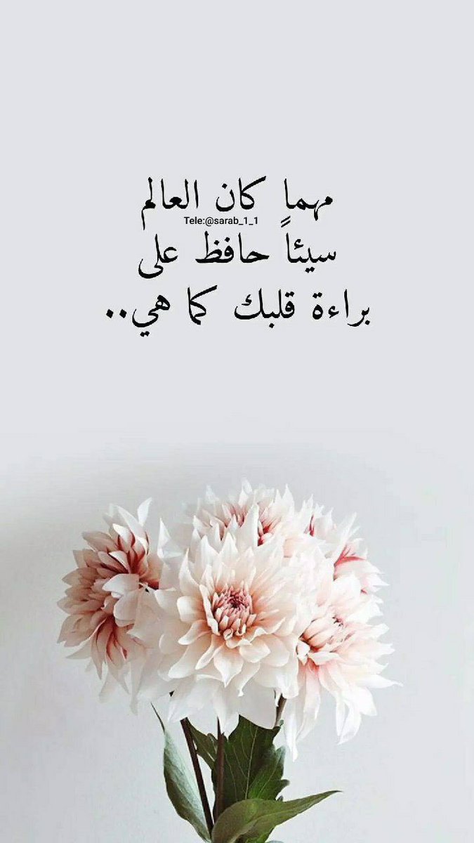 "يارب لا أؤذِي ولا أؤذَى .. اللهُم السَّلام."🤍

مسااء الخير للأرواح الجميله ...