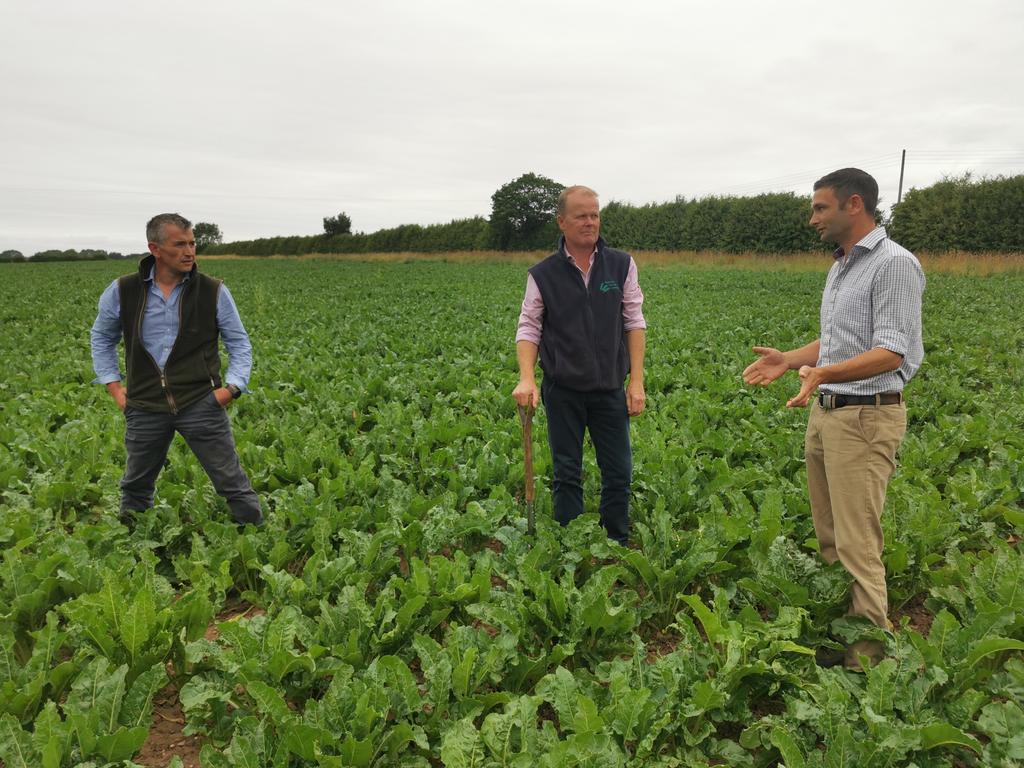 PhilipCaseFW's tweet image. Yorkshire agronomist David Stead from @Hutchinsons_Ag, shortlisted for @FW_Awards 2025 #Arable adviser award in a field of #sugarbeet with judges, Richard Tresidder from @Agrovista & Edward Vipond from @suffolkfarmer1 "Being organised as an agronomist is everything", says David.