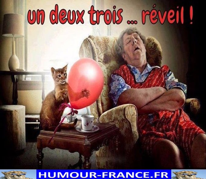 text alternatif