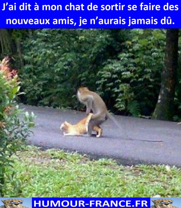 text alternatif