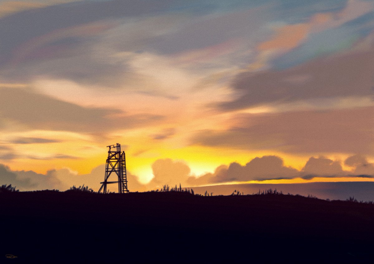 MindResting's tweet image. GM🌅