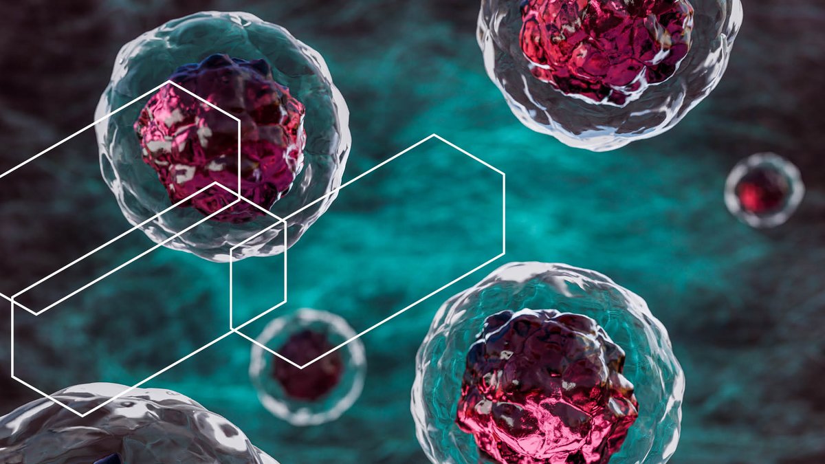 Which types of stem cells show the most promising results in treating #diabetes? From adult to embryonic stem cells, numerous types are driving new #research and breakthroughs. Our #CASInsights article explores how: ow.ly/N9zH50WiGrp