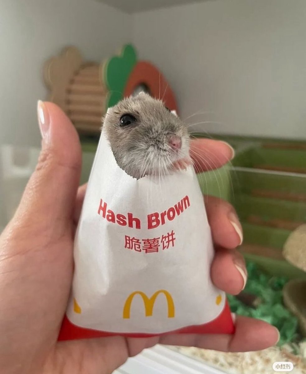 twaniimals's tweet image. 