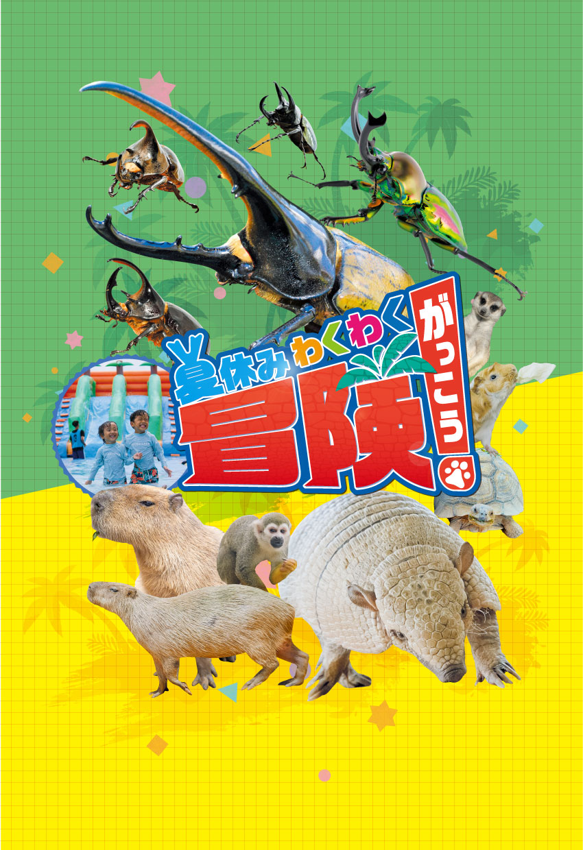 ぬいぐるみ カピバラ 大サイズ 美らヤシパークオキナワ 東南植物