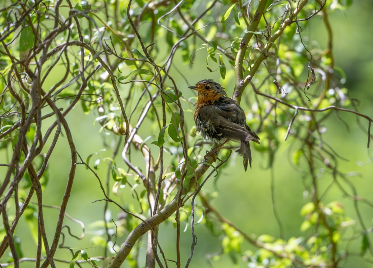 Don't you just love a nice bath/shower? 🌡

(📸 by Rob Gilmore)