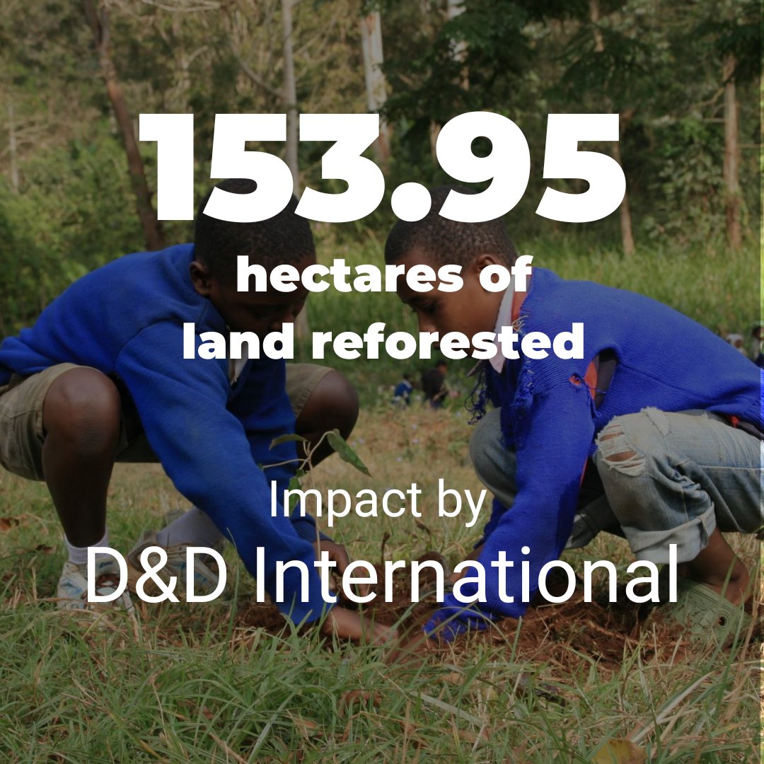 Forests don’t just grow overnight—they grow with commitment, action, and partners like D&amp;D International, who believe in a greener future. Thanks to their Tree Gifts, 153.95 hectares of land are being restored, bringing back biodiversity and protecting our planet.