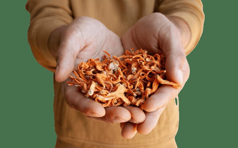 PowerandMight's tweet image. 🔥 Unleash your inner MENTAL TITAN with Lost Empire Herbs&apos; Mushroom Brain Tincture! 🧠💥 Lion’s Mane, Reishi, Cordyceps, &amp;amp; Oyster mushrooms in a triple-extracted, spagyric elixir—fueling focus, memory, &amp;amp; cognitive DOMINATION! 💪 #BiohackYourBrain #LostEmpireHerbs…