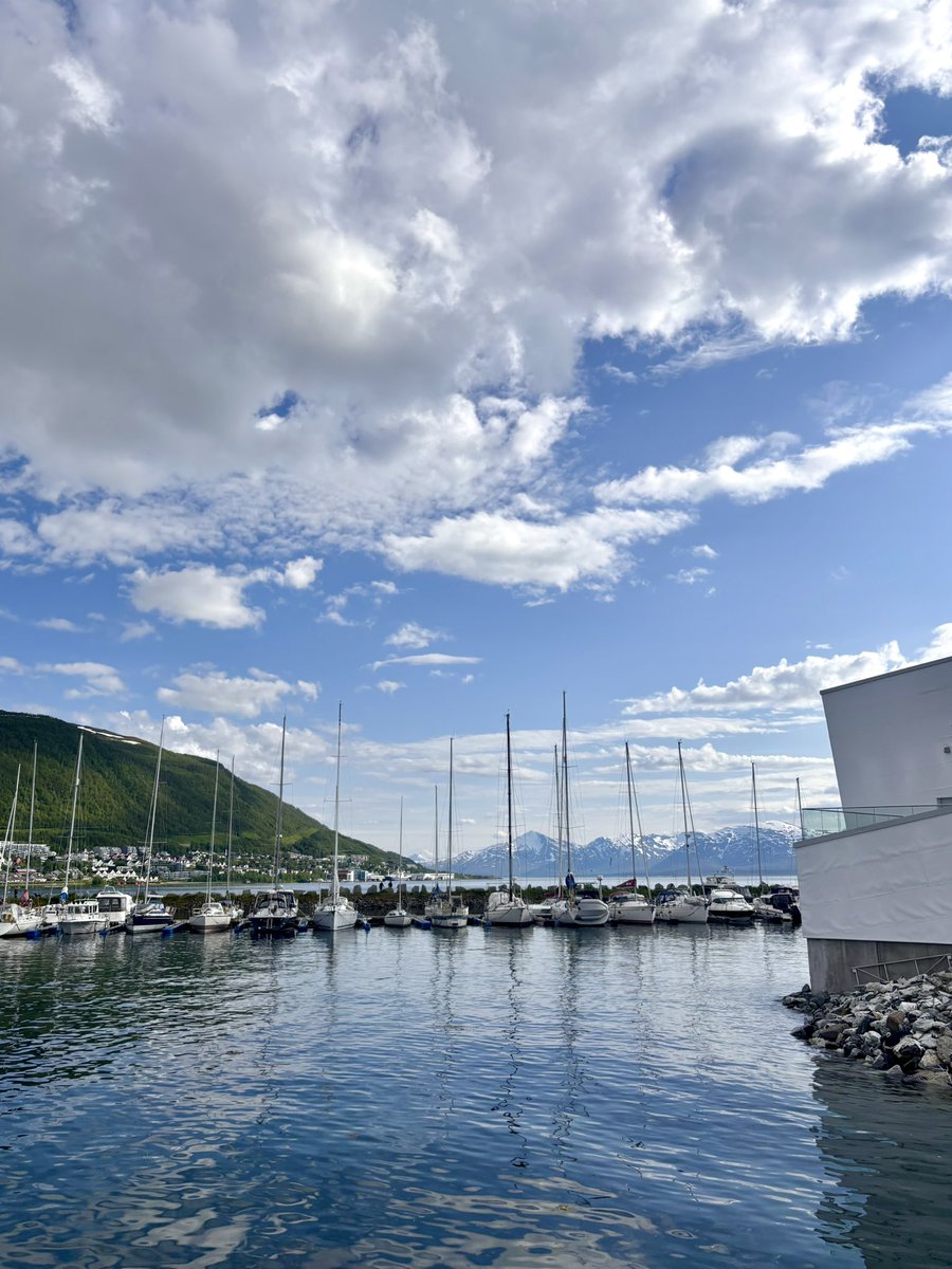 Silvia Yang tweet media