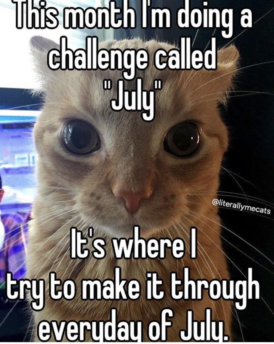 mapurlsyrup's tweet image. 