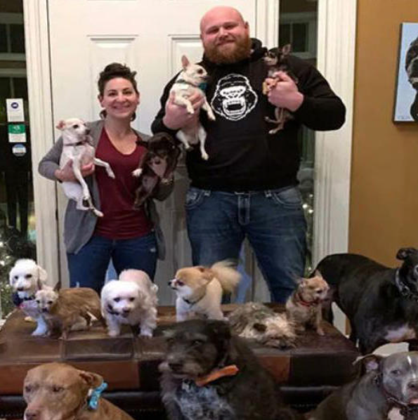 Couple Rescued All the Unwanted Senior Dogs from The Animal Shelters.This Man is Wαitinց fσr уσur Iike!