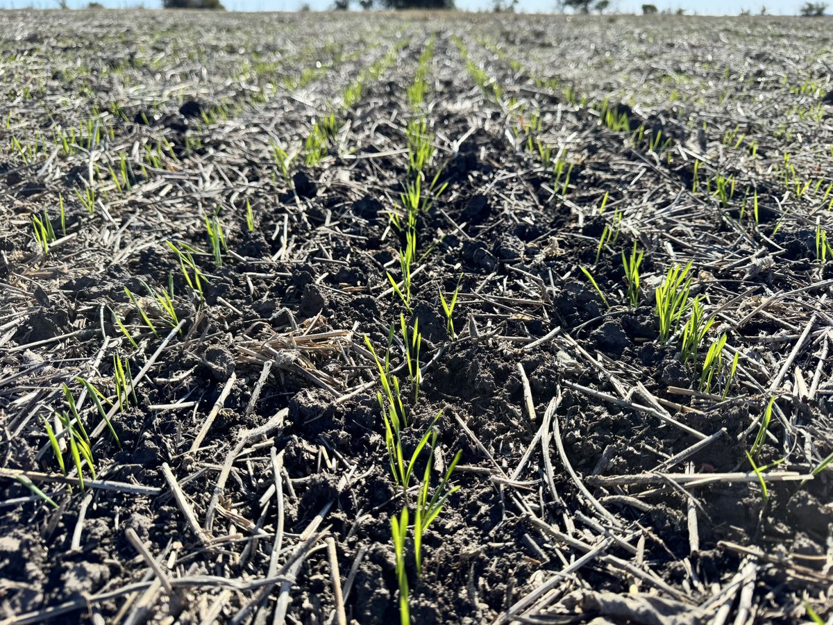 Agroconceptos 🇦🇷 tweet media