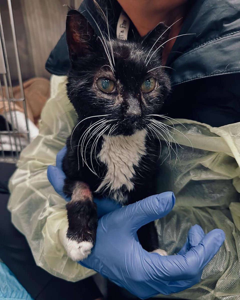 Diane Marie Conner - Search  X