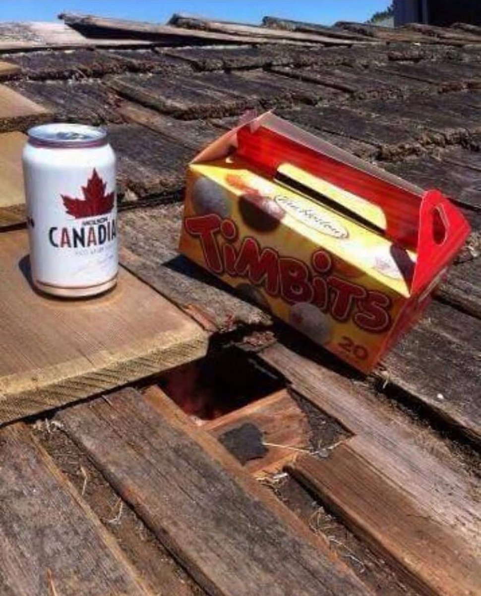 Good morning! ☕️☀️

Happy Canada Day! 🇨🇦 🍁 🦫

#CanadaDay2025